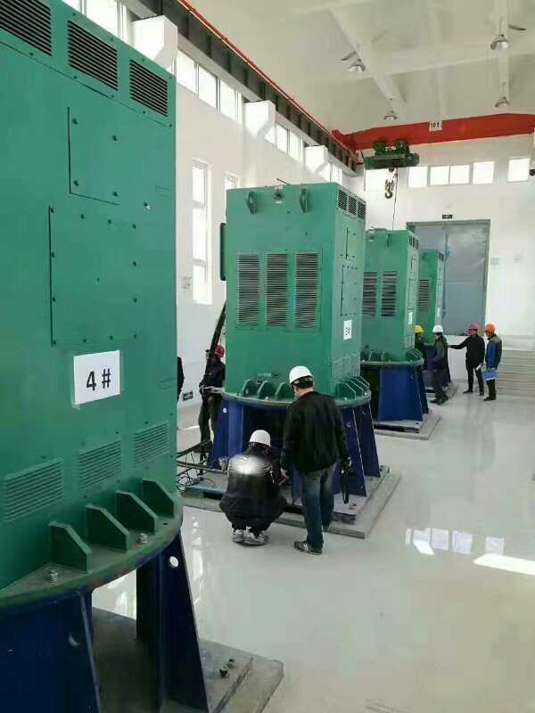 Y5601-2/1800KW某污水处理厂使用我厂的立式高压电机安装现场